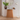 Larvik Console Table